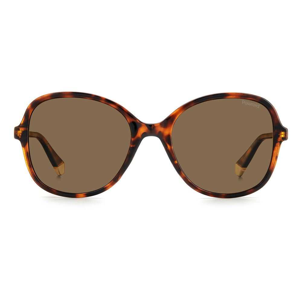 Brown Resin Sunglasses