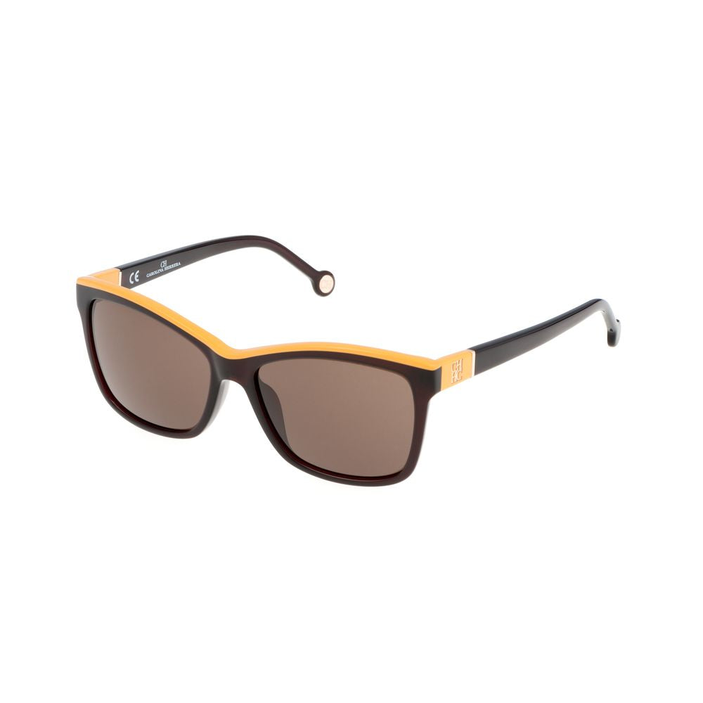 Brown Acetate Sunglasses