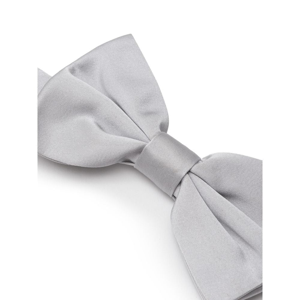 Silver Silk Ties & Bowty