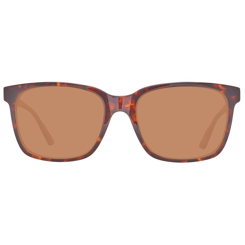 Brown Plastic Sunglasses