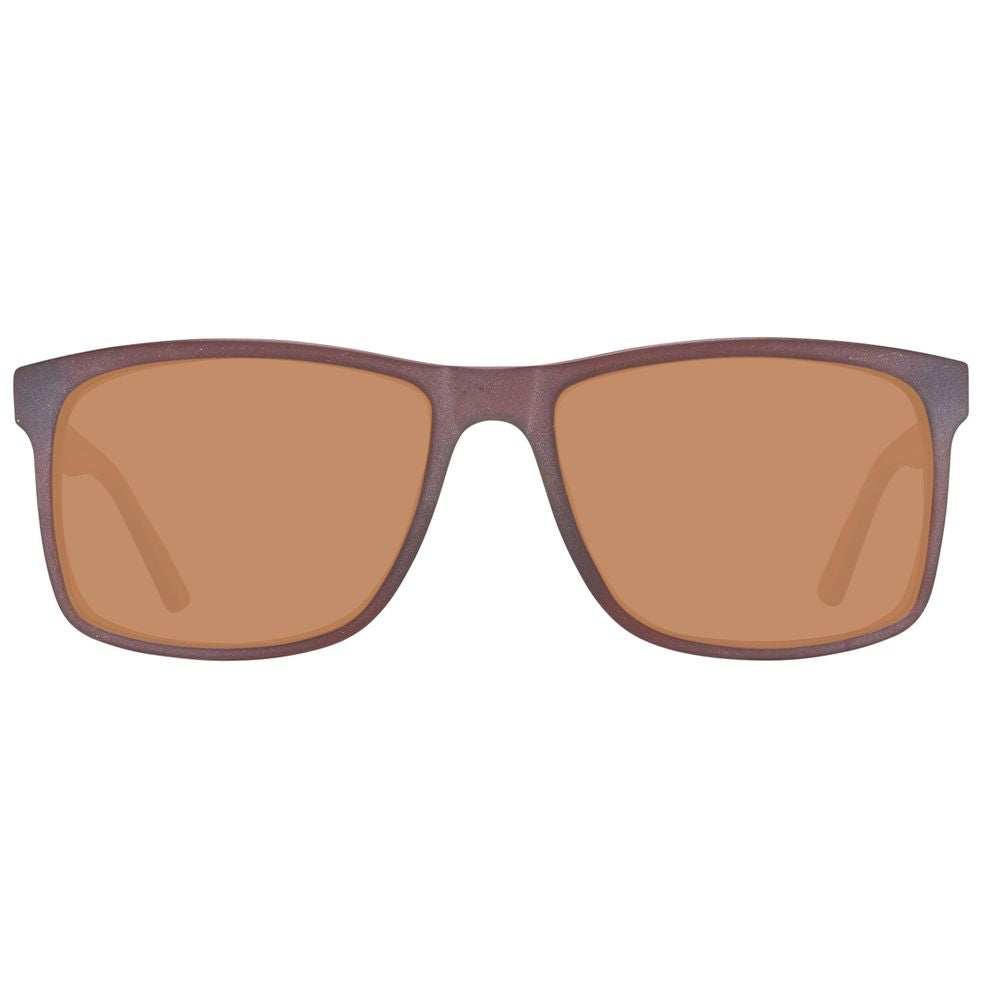 Brown Plastic Sunglasses