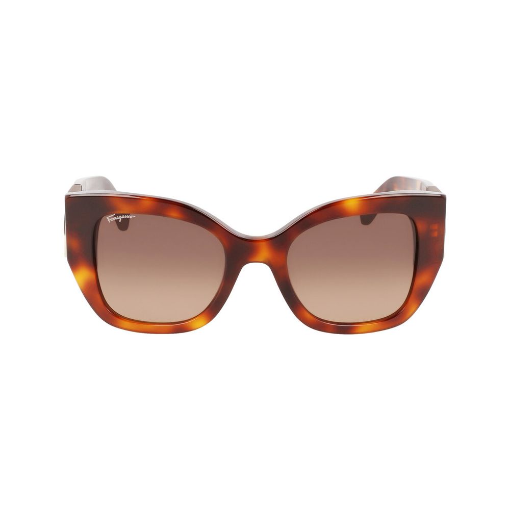 Brown Acetate Sunglasses