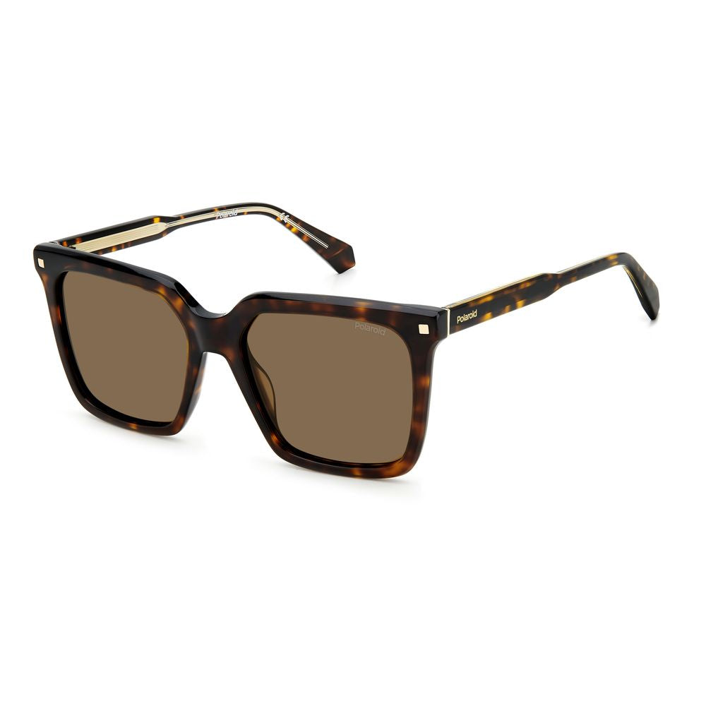 Brown Acetate Sunglasses