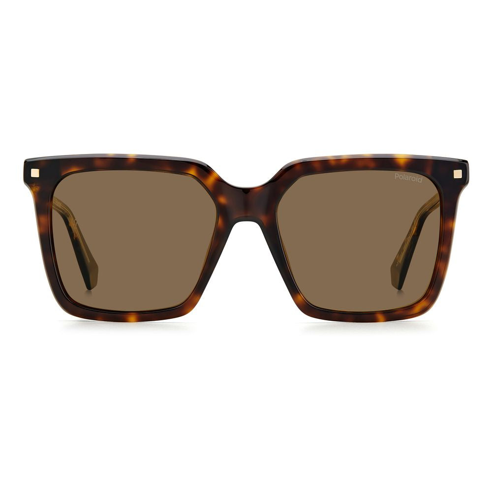 Brown Acetate Sunglasses