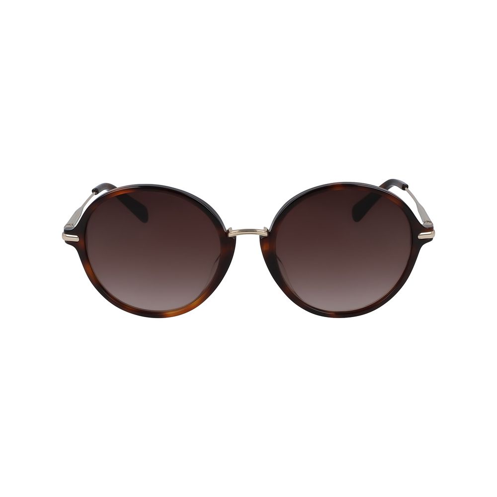 Brown Acetate Sunglasses